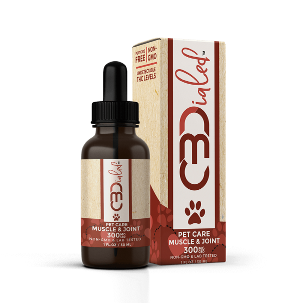 CBDialed-Pet-care-muscle-and-joint-300-MG-Tincture-bottle